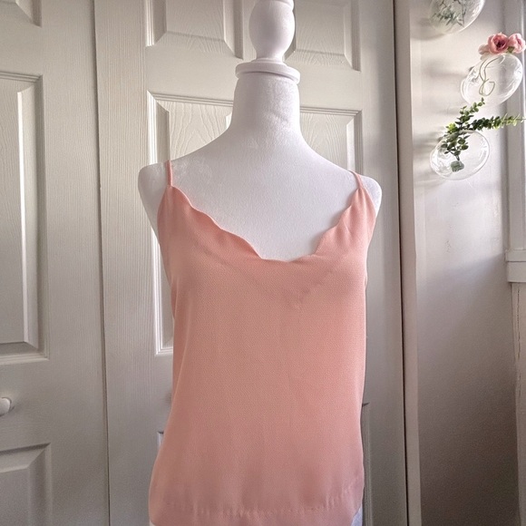 LUSH Scalloped Blouse in Blush - Picture 3 of 6